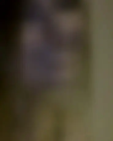 Emilia, 24 Jahre — sextreffen in Lichtenberg