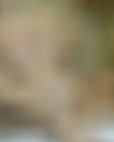 Kira, 23 Jahre — sextreffen in Bautzen