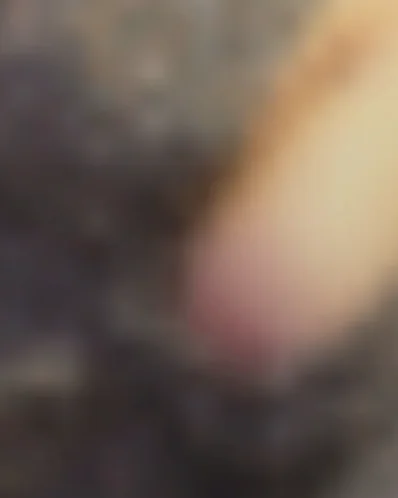 Sabrina, 26 Jahre — sextreffen in Gifhorn